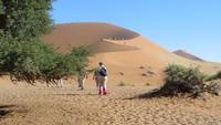 0503 Ausflug nach Sossovlei - Aufstieg auf Big Mama