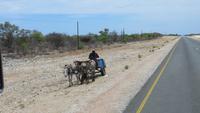 0818 Fahrt nach Opuwo -Eselskarre