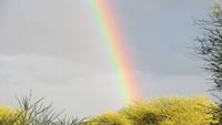 1434 Otjibamba Lodge - Regenbogen