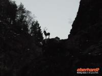 Höllental Hirschsprung