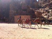 ein beliebtes Fortbewegungsmittel