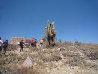 Besuch Pukara de Tilcara