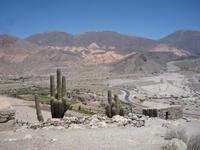 Besuch Pukara de Tilcara