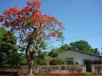 Asuncion