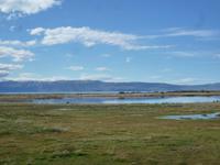 El Calafate