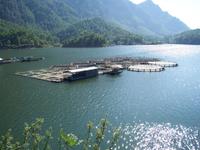 Fischzucht bei Kargi