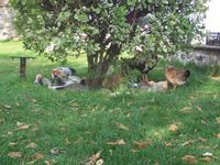 Am Uhrenturm in Bursa