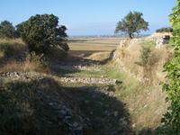 Schliemanngraben in Troja