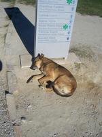 Genießer in Pamukkale