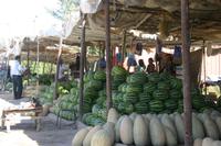 Melonenbasar