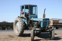 Traktor am Melonenbasar