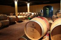 Weingut Vrede en Lust bei Franschhoek