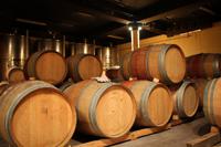 Weingut Vrede en Lust bei Franschhoek