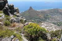 Blick vom Tafelberg auf Kapstadt