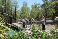 Führung in der Cango Wildlife Ranch in Oudtshoorn