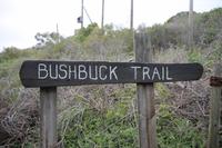 Wanderung im Featherbed-Nationalpark