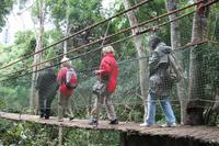 DIe längste Hängebrücke Südafrikas im Monkeyland