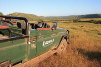 Jeepsafari im Kariega Game Reserve