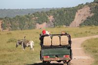Jeepsafari im Kariega Game Reserve