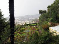 Im Botanischen Garten von Funchal