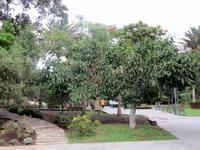 Im Park Santa Catalina