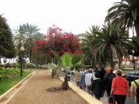 Im Park Santa Catalina