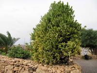 Im Freilichtmuseum „La Alcogida“