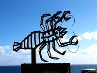 An den Jameos del Agua