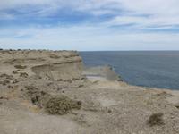 Bei der Seelöwen-Kolonie