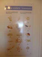 Im Informationszentrum