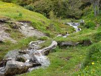 Feuerland-Nationalpark