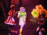 Märchenstunde mit dem Showensemble 