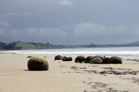 Moeraki Boulders
