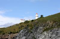 Leuchtturm auf Taiaroa Head
