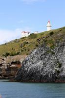 Leuchtturm auf Taiaroa Head