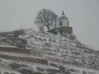 Schloss Wackerbarth