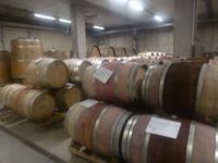 Staatsweingut Schloss Wackerbarth