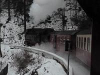 Fahrt mit der Harzer Schmalspurbahn zum Brocken