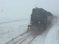 Auf dem Brocken