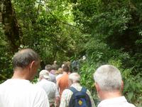 Wanderung durch den Regenwald