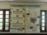 Im Besucherzentrum des Tijuca-Waldes