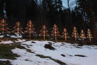 Triberger Weihnachtszauber