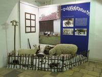 im Stadtmuseum Jihlava