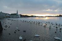 Am Tjörnin