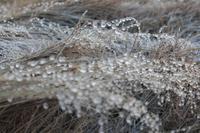 Zwischen Eis und heiß