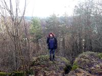 Weihnachten  2012 in der Fränkischen Waischenfeld