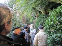 Führung im Palmenaus Bad Pyrrmont