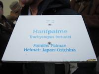 Führung im Palmenaus Bad Pyrrmont