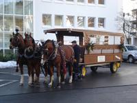 Kutschfahrt am Heiligen Abend