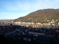 Rüdesheim - Heidelberg - Trier - Mosel Blick vom Schloss Heidelberg